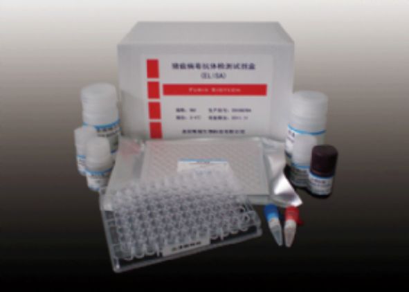 大鼠血管紧张素原(aGT)ELISA试剂盒