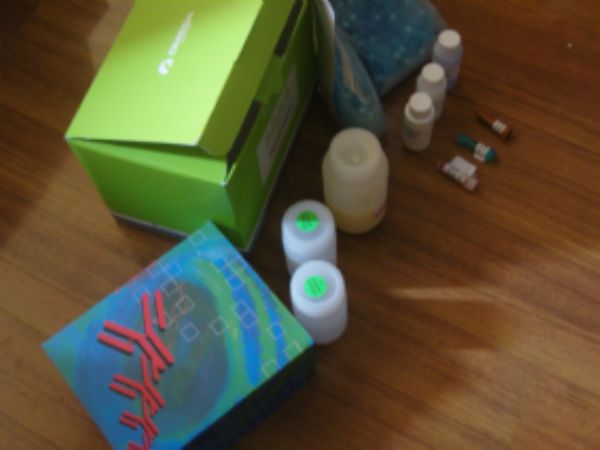 人变肾上腺素(MN) ELISA试剂盒 规格