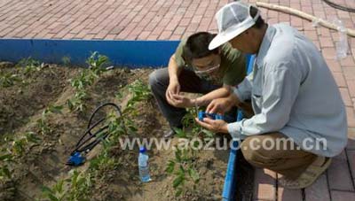 应用澳作TRIME-PICO土壤水分速测仪研究水分流失