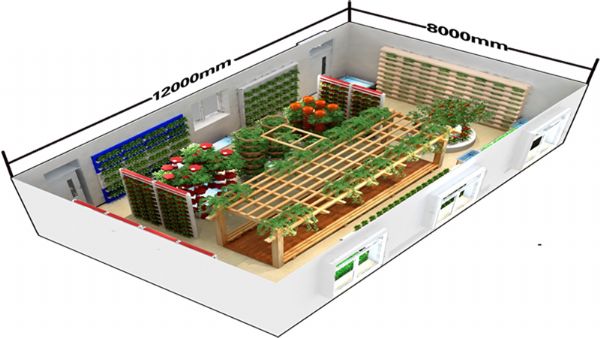 室内生物园地走进昌黎_装装修 室内生物园地走进昌黎