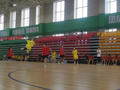 合肥市翡翠学校：该校手球队在国赛中崭露锋芒