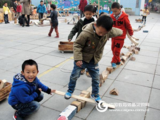 安吉游戏与户外自然游戏有何区别?