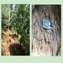 亚欧 土壤、水、气等环境腐蚀监测系统?阴极保护效果检测仪 DP-TSQ3