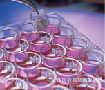 PITP01250 Millicell 插入式细胞培养皿, 12 mm, 聚碳酸酯，3.0 μm