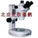 三目体视显微镜（电脑型）/体视显微镜
