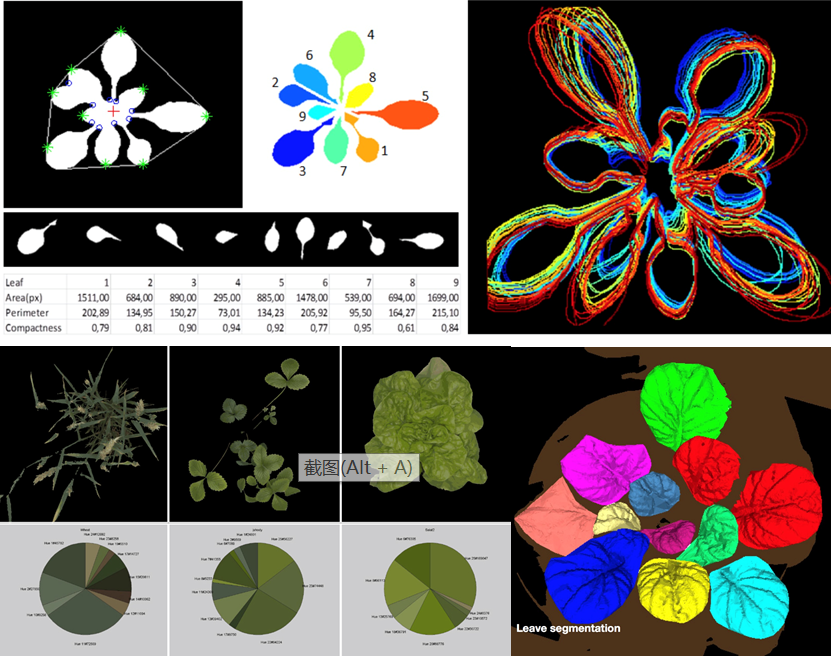 PlantScreen高通量植物表型成像分析平台