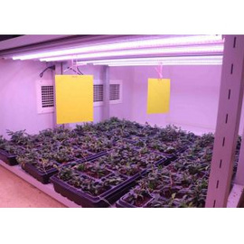 杭州利全+培養架型人工氣候室
