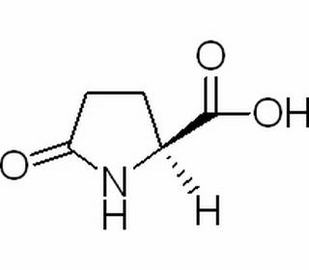 L-焦谷氨酸 98-79-3