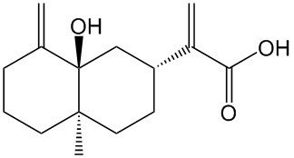 5α-羟基广木香酸 132185-83-2