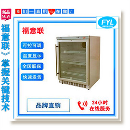 福意联2-48℃锂电池测试箱
