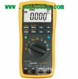 过程表/过程多用表 型号：SHLG/VICTOR 78