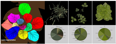 移动式PlantScreen植物表型成像分析平台
