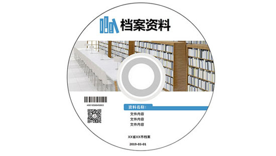 迪美视档案数字化光盘刻录打印归档系统
