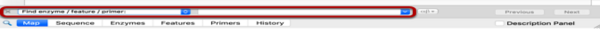 SnapGene——酶、特征或引物的查询