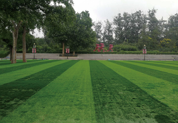 北京大学附属小学操场铺设人造草坪