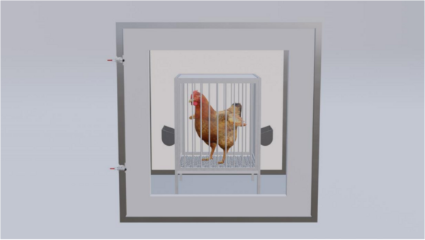 SSI能量代谢测量系统在家禽方面的应用