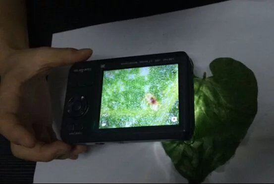 便携式数码显微镜广泛应用于科研教学中