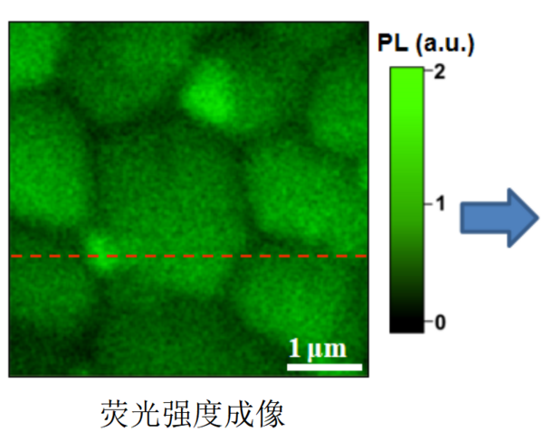 钙钛矿载流子荧光寿命成像|光电流成像