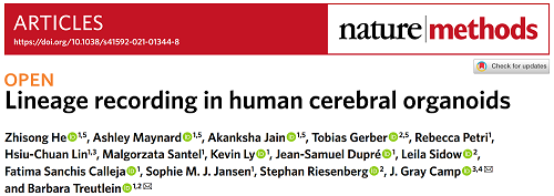 国自然与CNS顶刊的偏爱— —“类器官”，再次登顶Nature Methods！