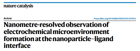 Nature Catal.丨10 nm 红外助力纳米尺度原位研究！