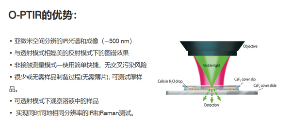 生物组织红外成像的全新手段——荧光引导光学光热红外显微光谱