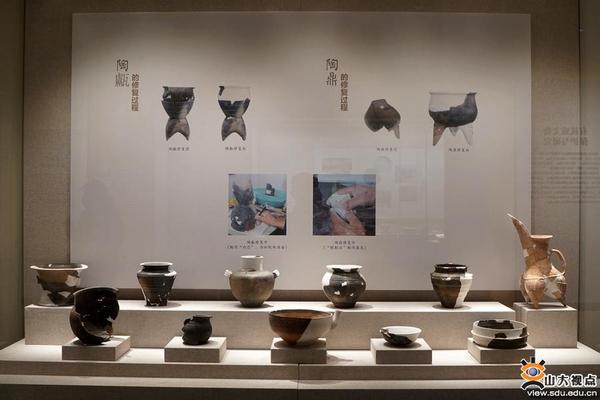 山東大學博物館入選國家一級博物館