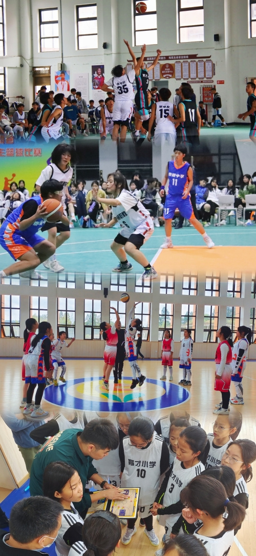 温州市泰顺县第十三届中小学生篮球比赛圆满落幕