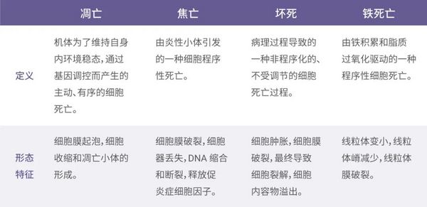 銅死亡丨解鎖細胞死亡新方式 - MCE