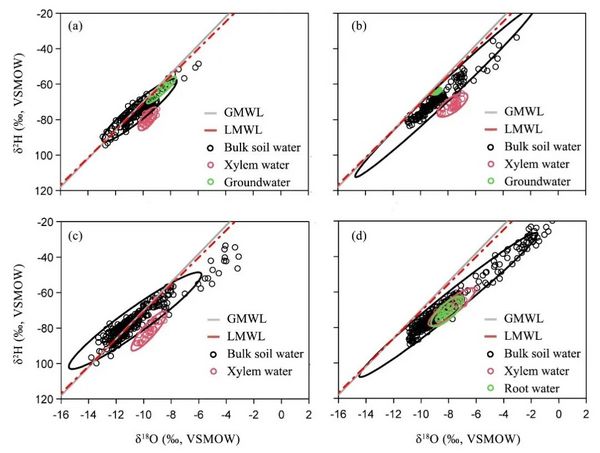 土壤水与植物茎木质部水的同位素偏差研究