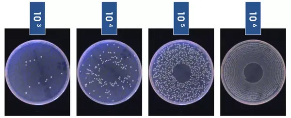 重磅推出！全自动微生物平皿螺旋接种仪