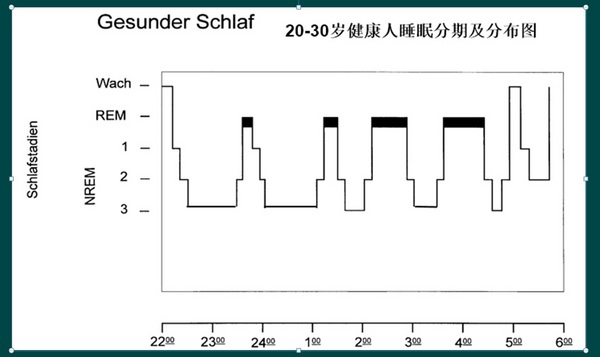 3,夜间睡眠前三分之一以sws为主,与睡眠启动有关 4,夜间