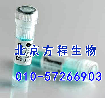 方程生物试剂图片 (4).jpg 人前动力蛋白受体1(PKR1)检测/(ELISA)kit试剂盒/免费检测