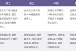 銅死亡丨解鎖細胞死亡新方式 - MCE