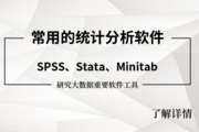 常用统计分析软件：SPSS、Stata、Minitab