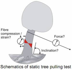 PiCUS TreeQinetic树木拉伸测试装置