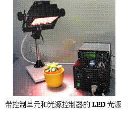 SL3500 智能LED光源