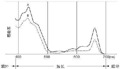 九州空间供应叶绿素仪/便携式叶绿素仪