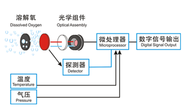 溶解氧传感器/水质溶解氧传感器/荧光法溶解氧传感器